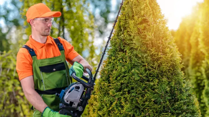 Aparar Sebes e Arbustos