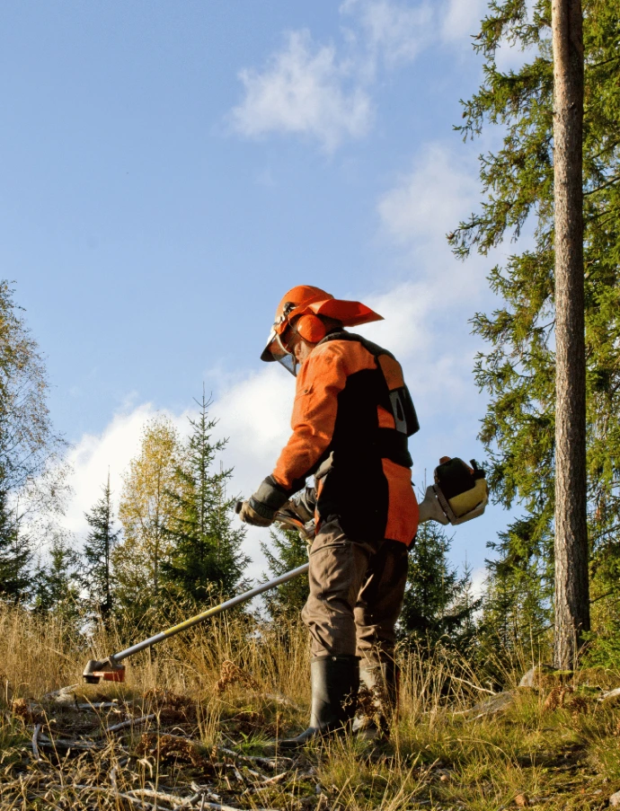 Limpeza de Terrenos com roçadora
