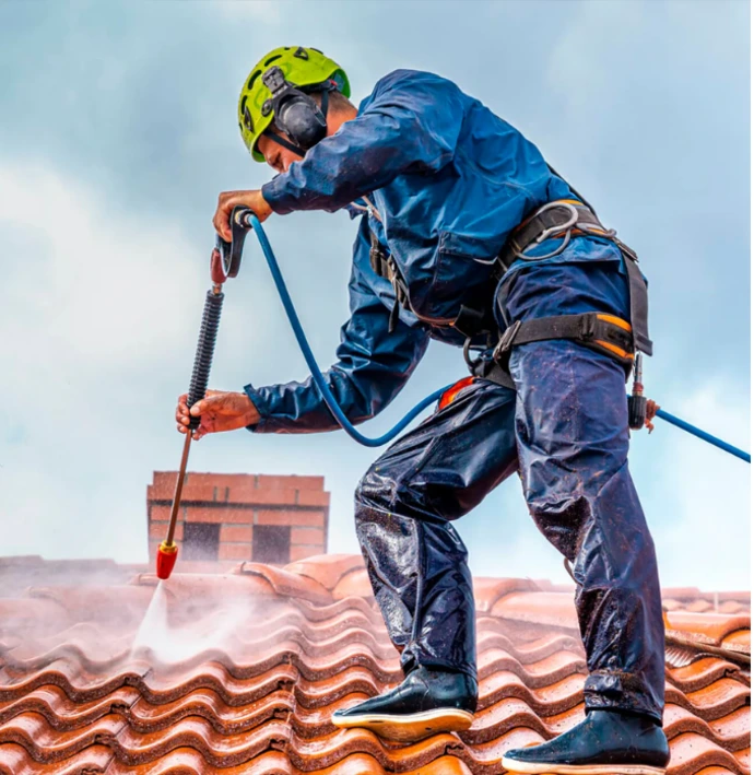 Limpeza de Telhados